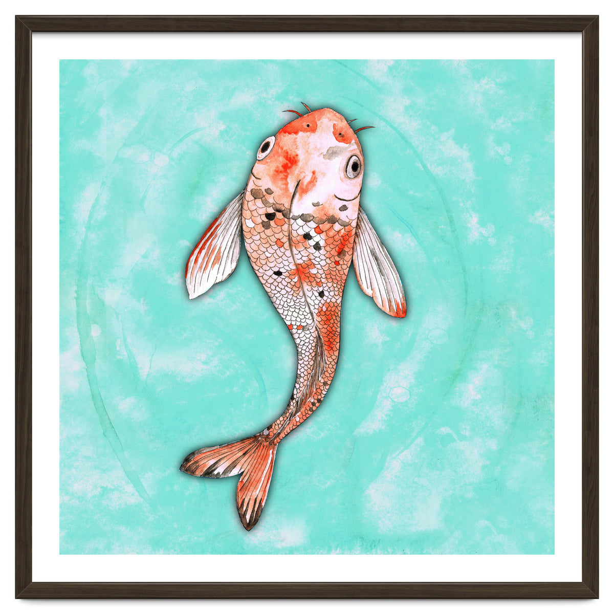 Koi fish