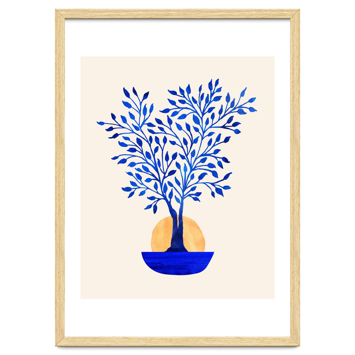 Indigo Ficus Sunrise