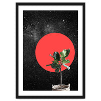 "Bonsai" - Digital Collage