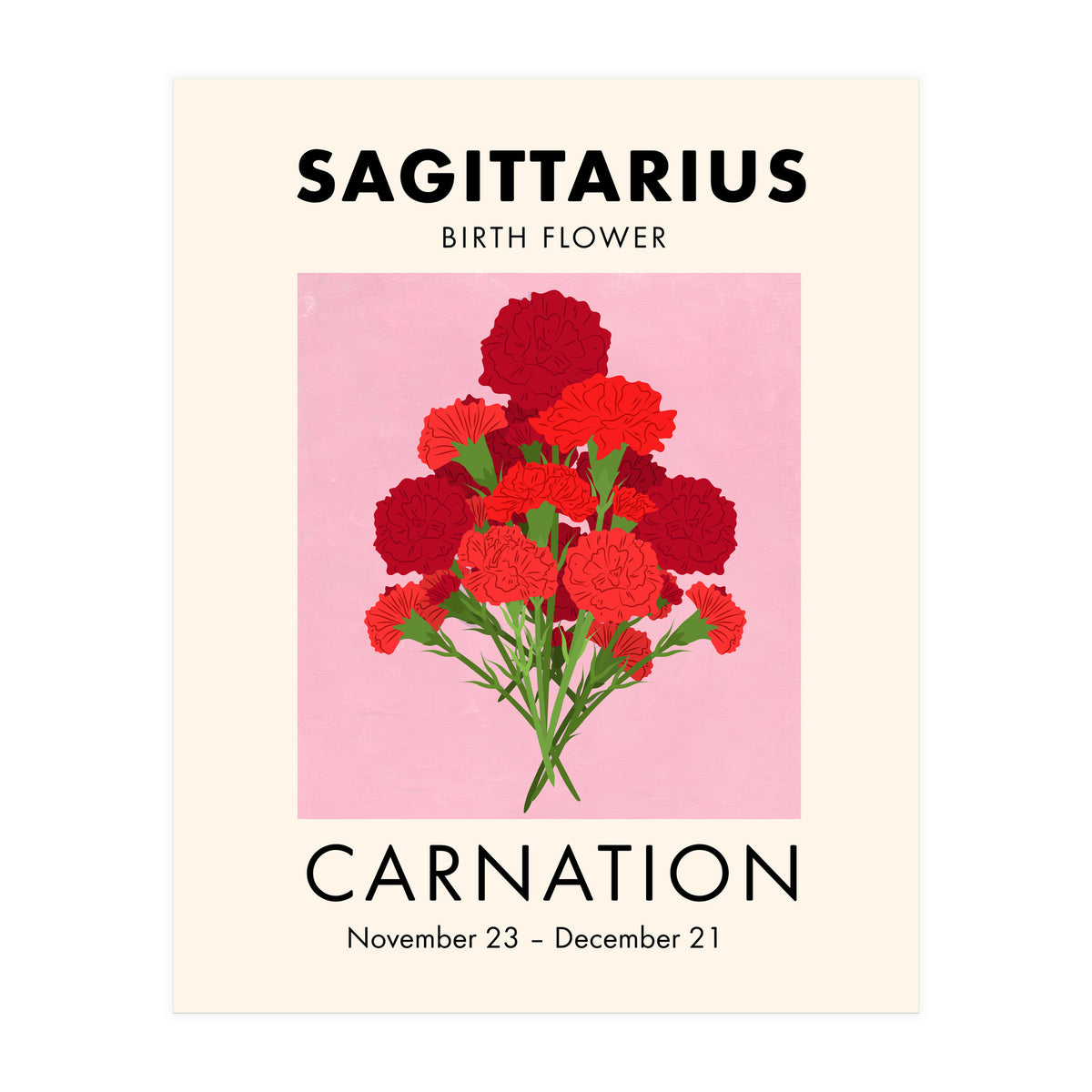 Sagittarius Birth Flower Carnation  (Print Only)
