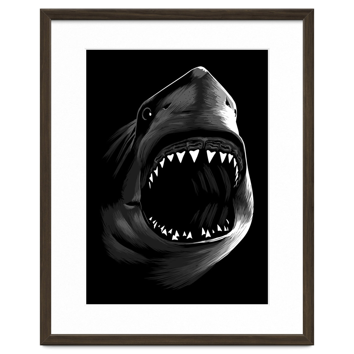 Megalodon