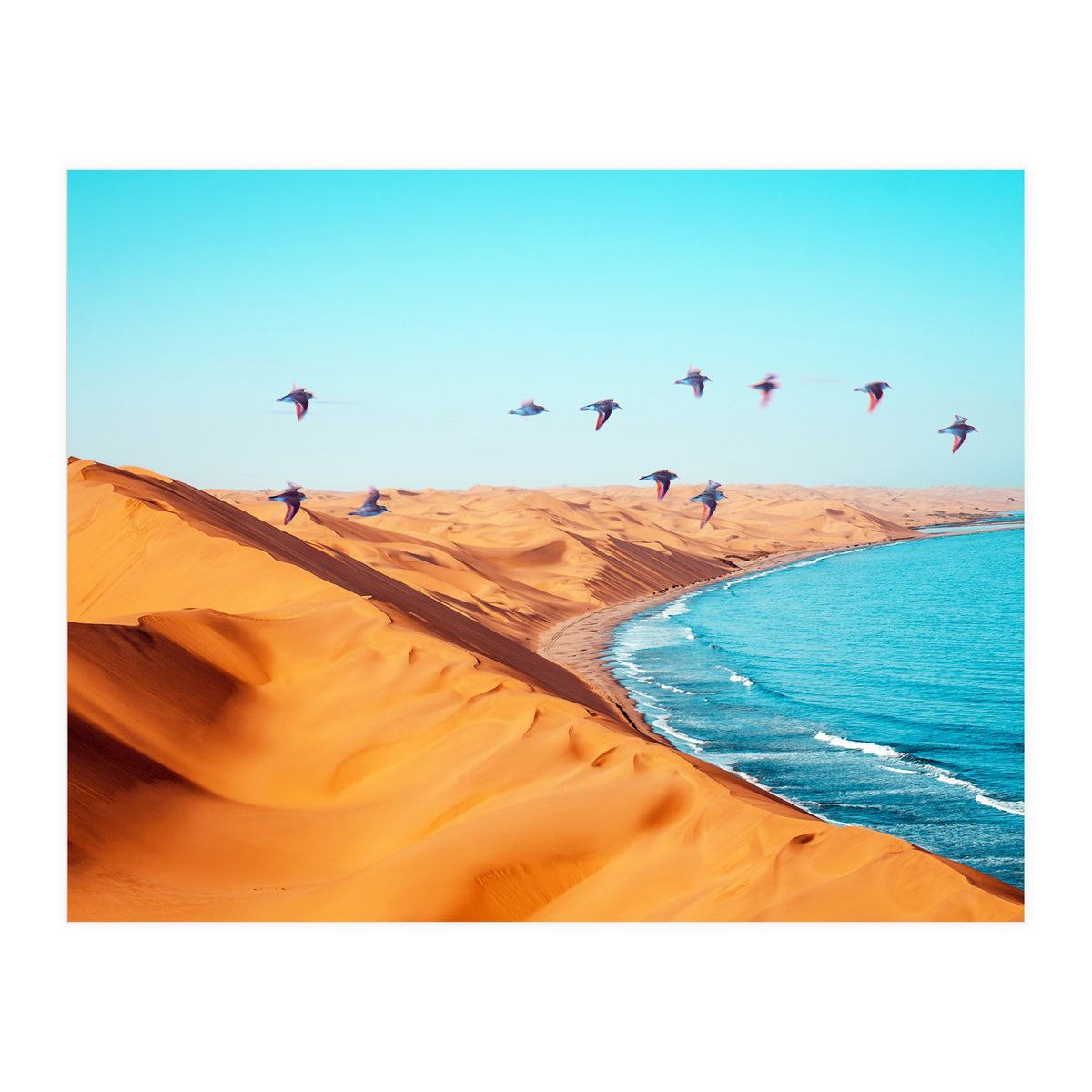 Desert Birds (Print Only)