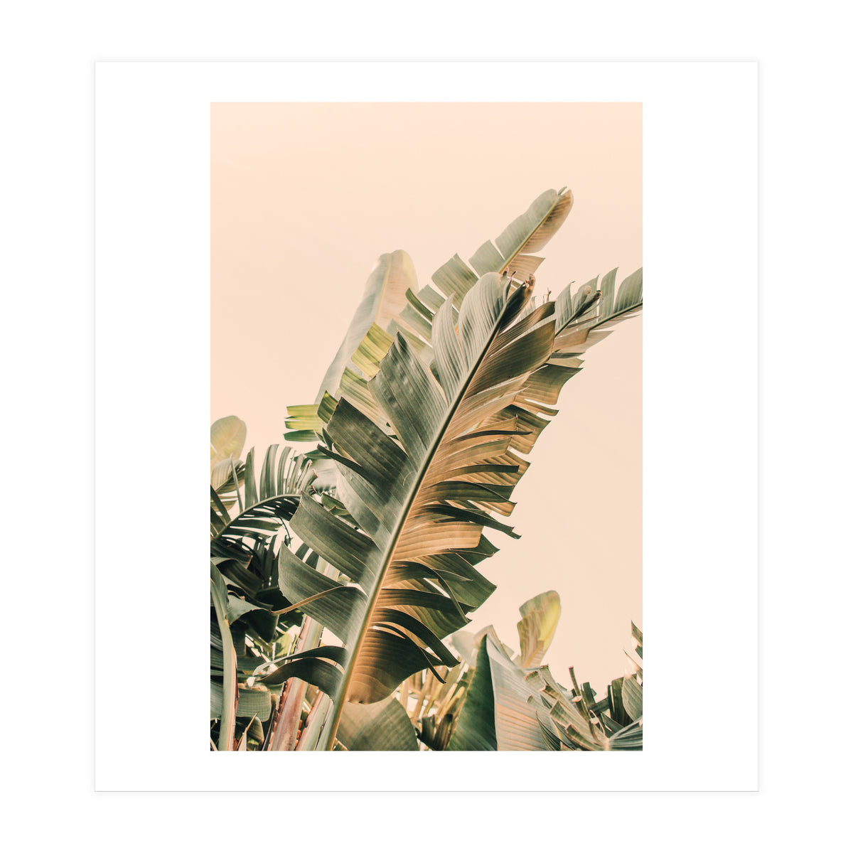 Growing Green Alicia Bock (Print Only)