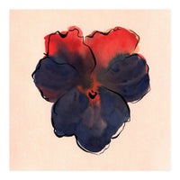 Blue Pansy (Print Only)