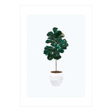 FIddle Leaf Fig gold and green (Print Only) thumbnail