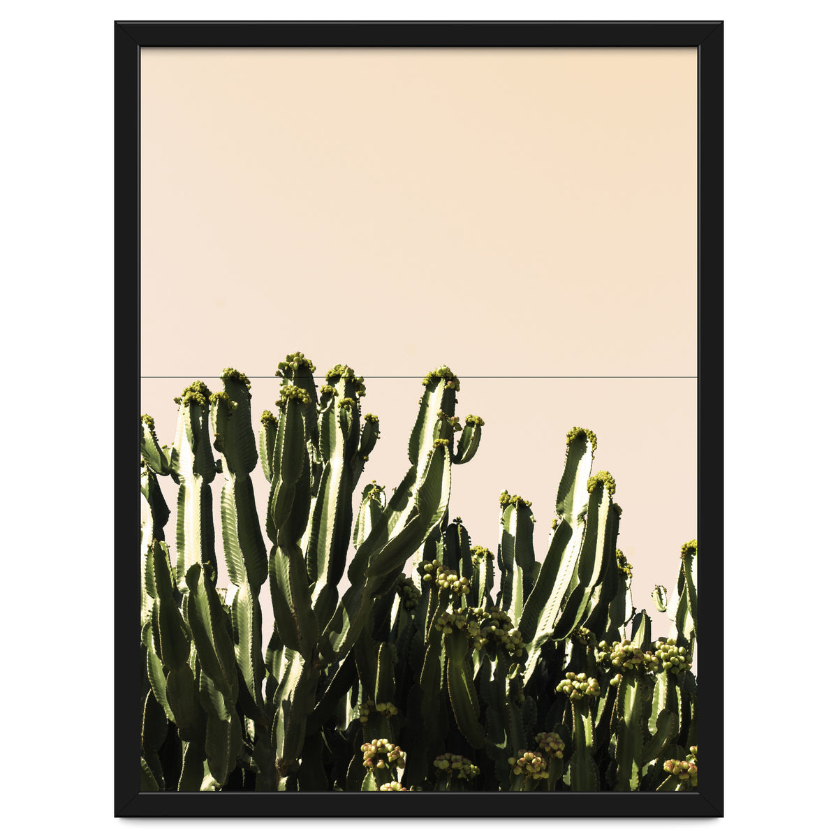 Cactus Vertical Color