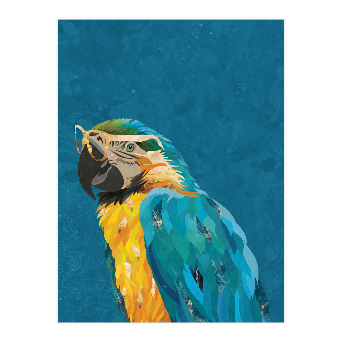 Macaw Portrait Blue Gold Glasses (Print Only)