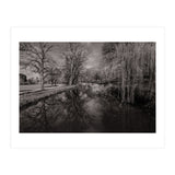 Bute Park, Cardiff  (Print Only) thumbnail