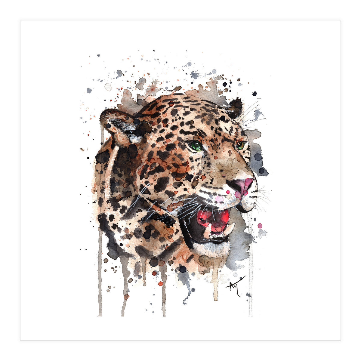 Leopard - Wildlife Collection (Print Only)