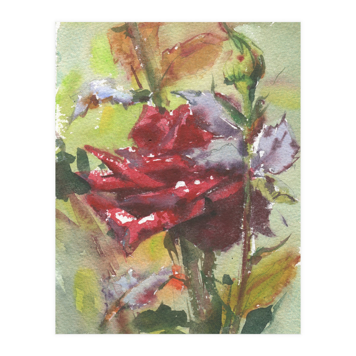 Spice Rose watercolor painting (Print Only)