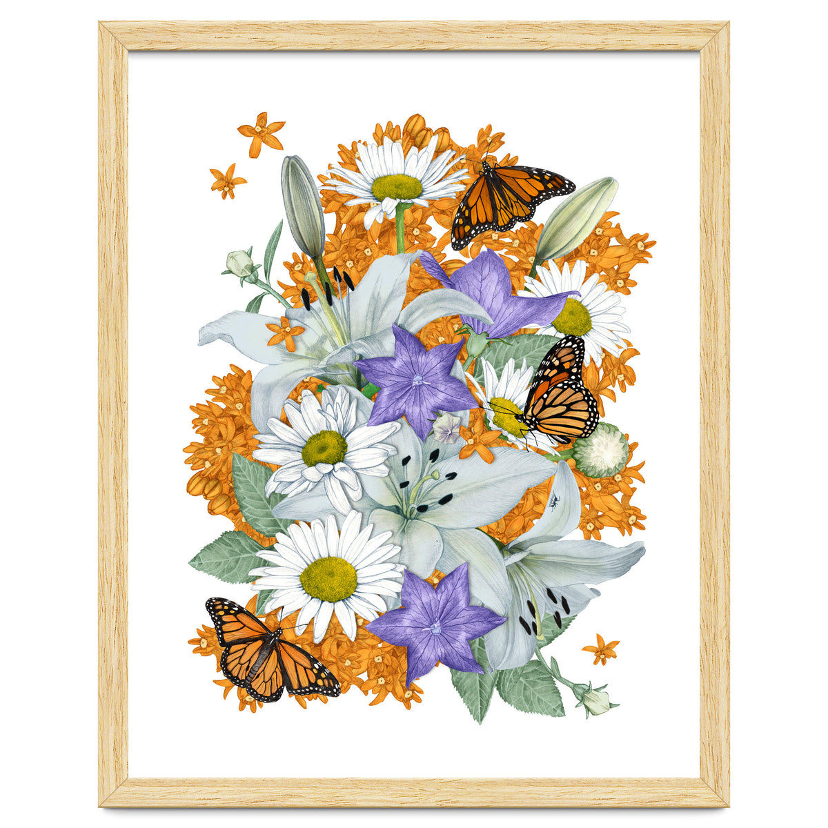 Lillies and Monarchs