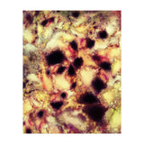Natural Mechanism (Print Only) thumbnail
