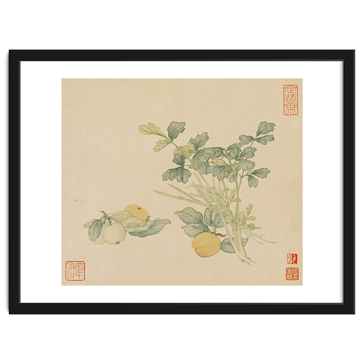 Wang Chengyu~flowers And Vegetables, Vegetables, Fruits, Plums, Apricots, Celery