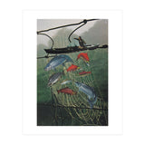 Salmon Trap (Print Only) thumbnail