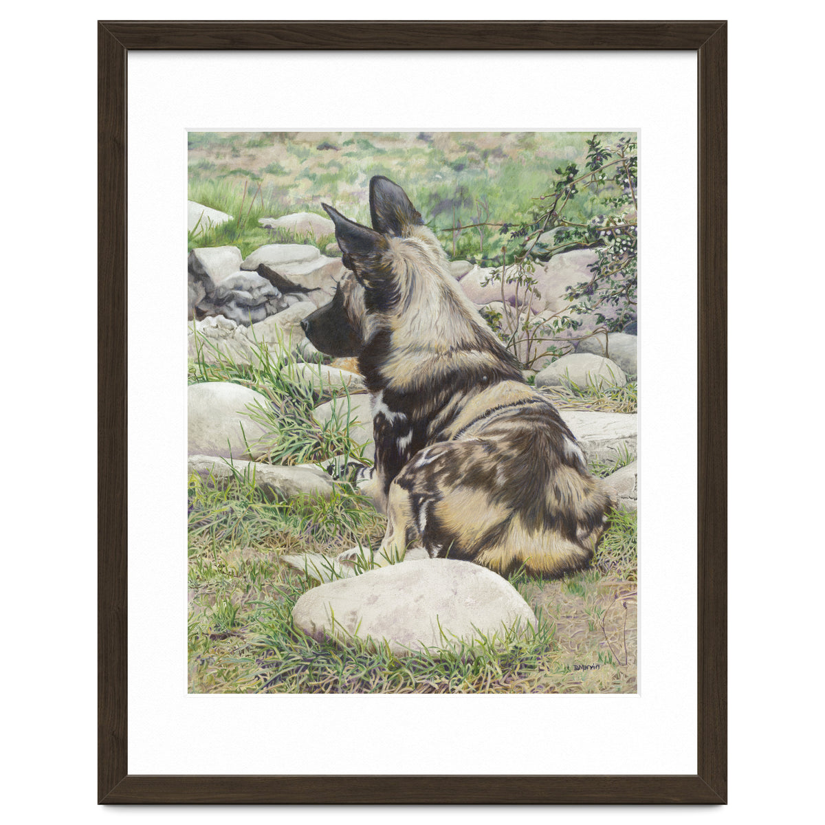 African Painted Dog I