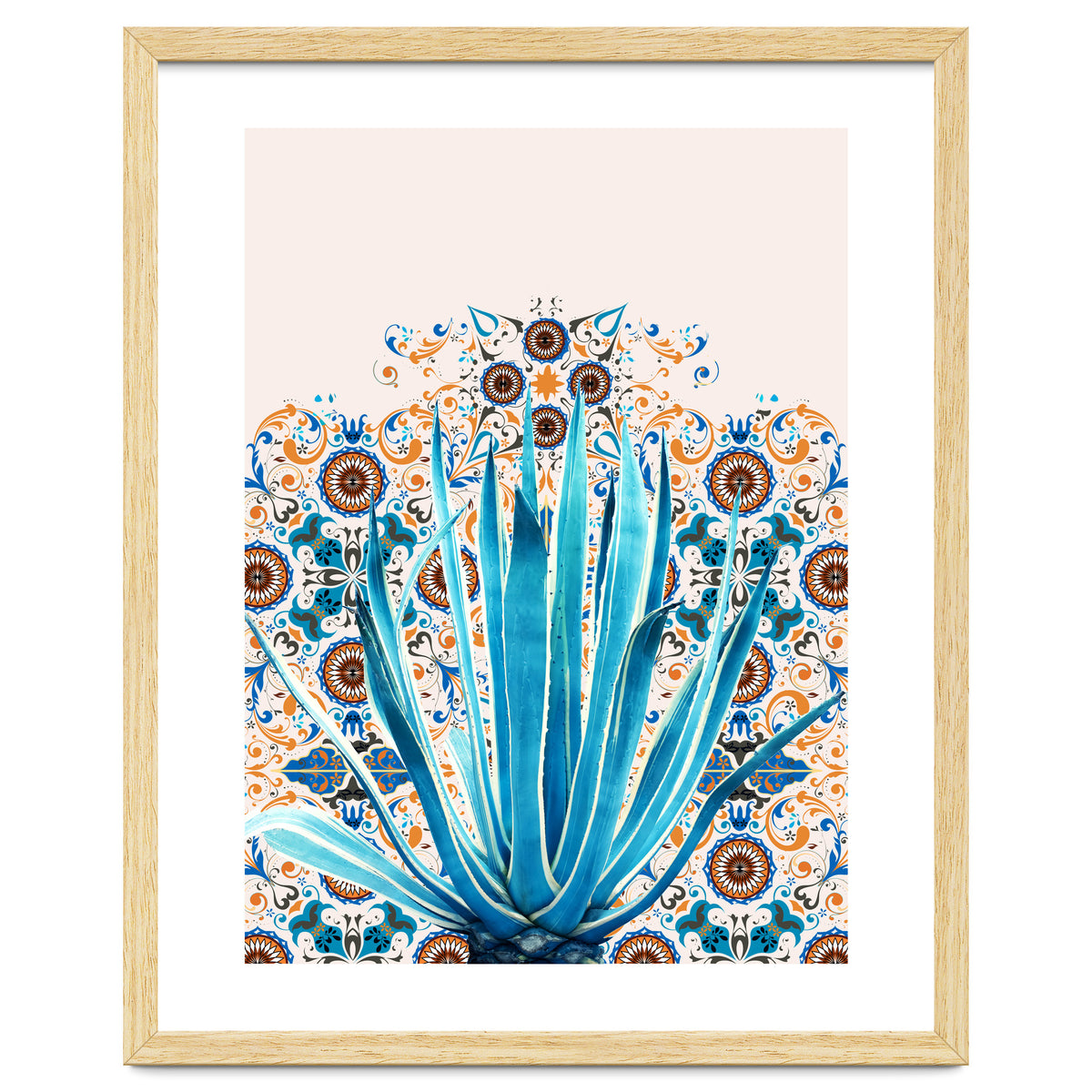 Cactus and Moroccan tiles