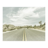 Joshua Trees, Park Boulevard | Vintage (Print Only) thumbnail