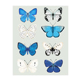 Lepidoptery Study No. 3 (Print Only) thumbnail