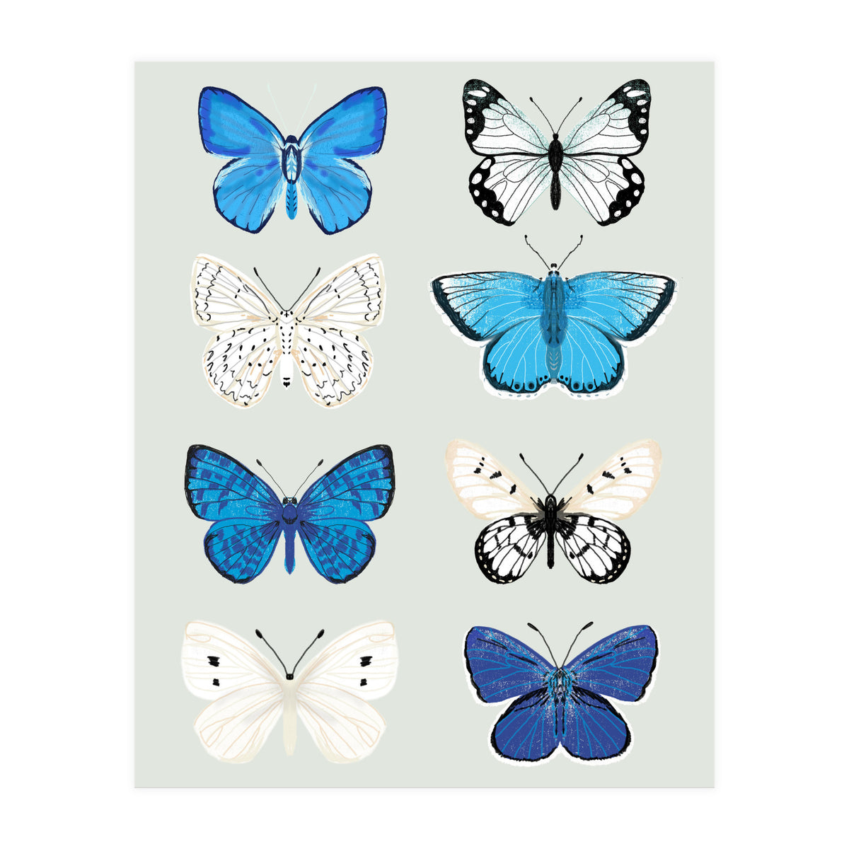 Lepidoptery Study No. 3 (Print Only)