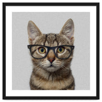 Cat Geek