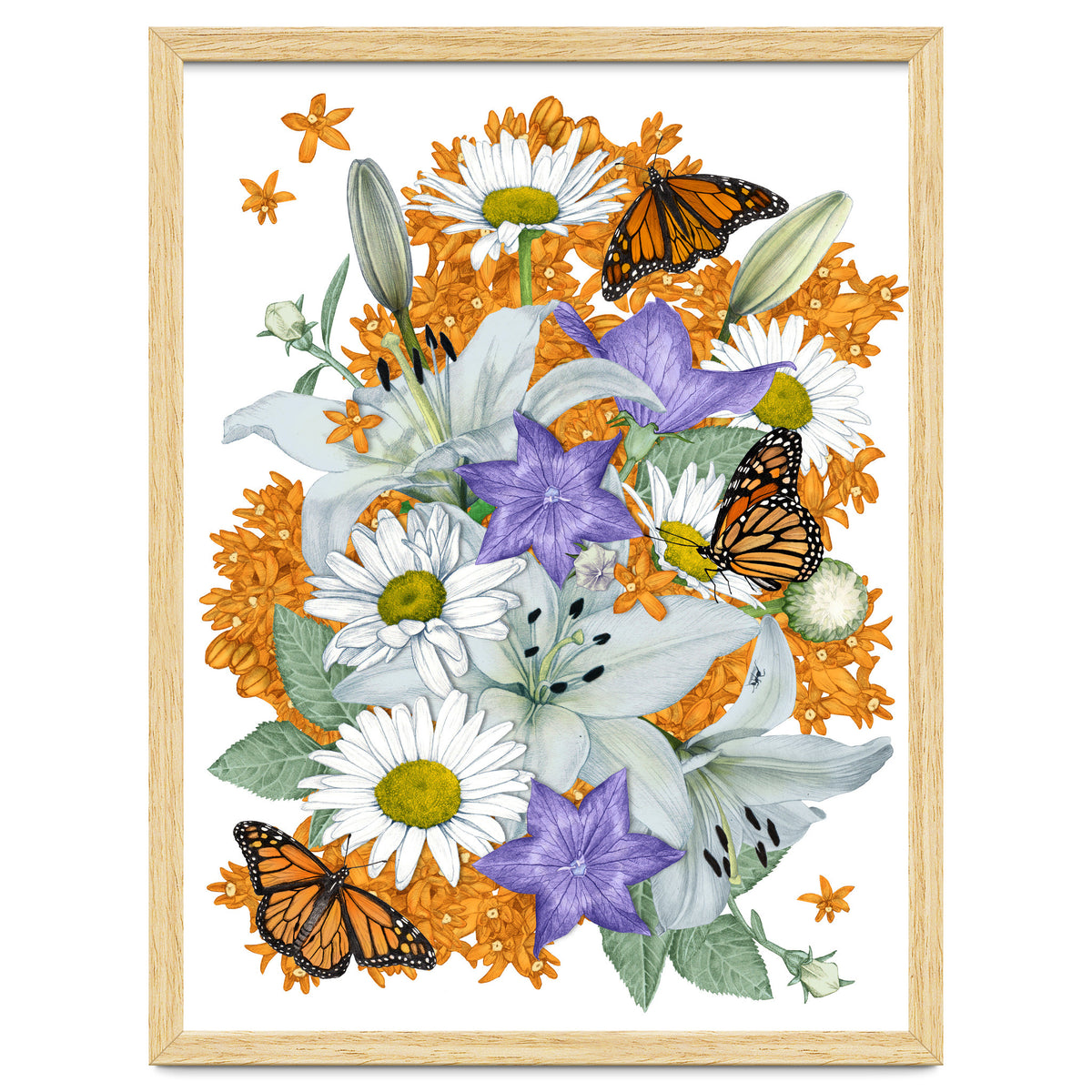 Lillies and Monarchs