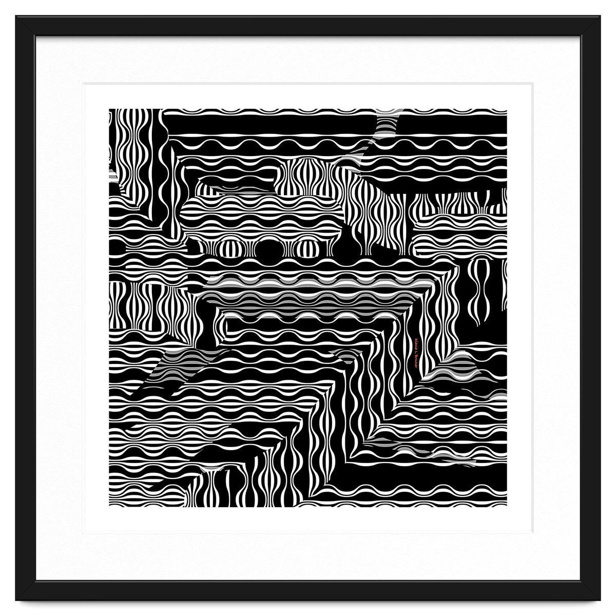 BLACK AND WHITE EXOTIC