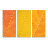 Autumn Leaves (Print Only) thumbnail