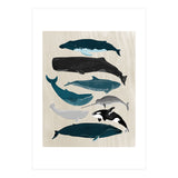 Whales (Print Only) thumbnail