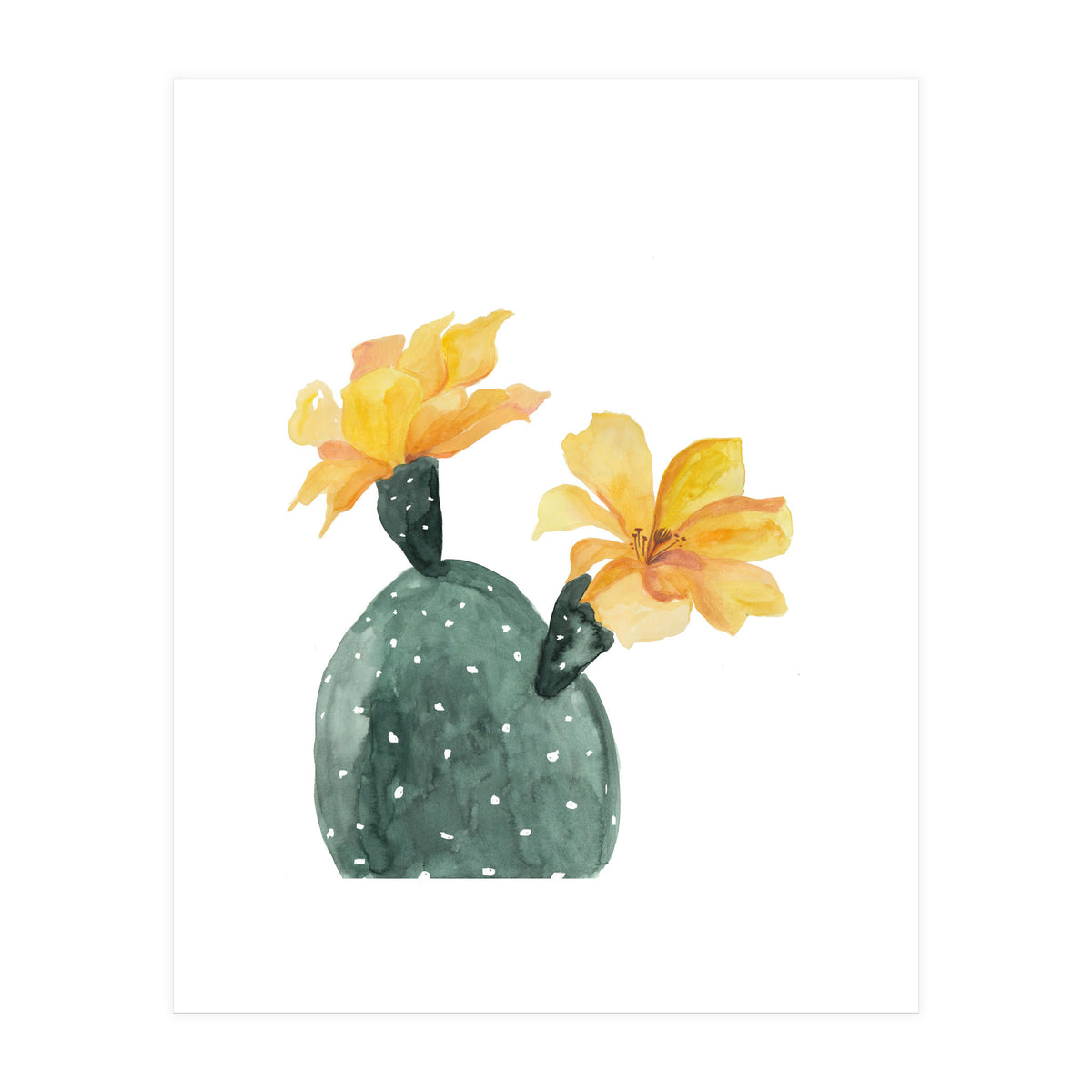 Botanical Illustration Yellow Cactus Flowers (Print Only)