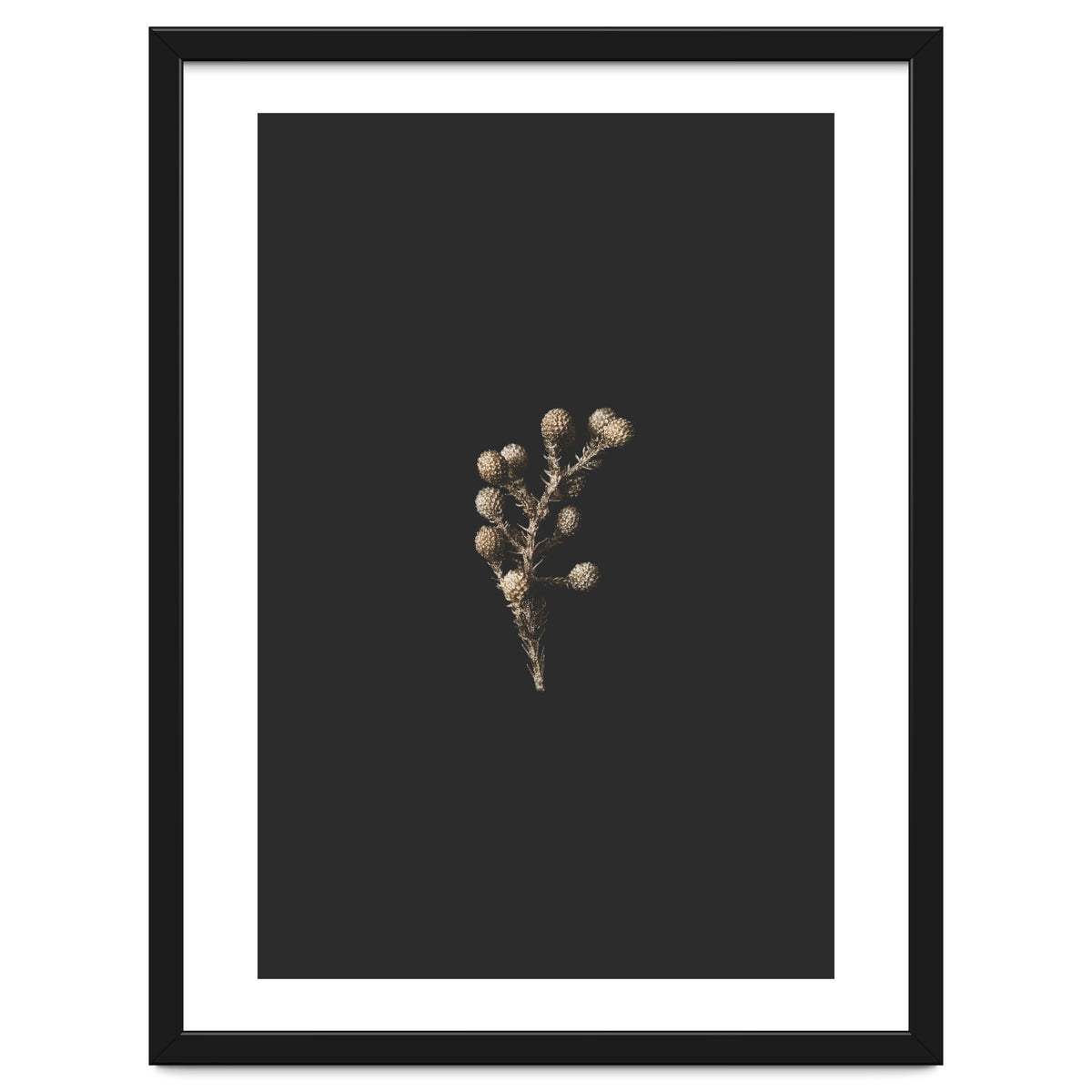 Gold Drops Botanicals