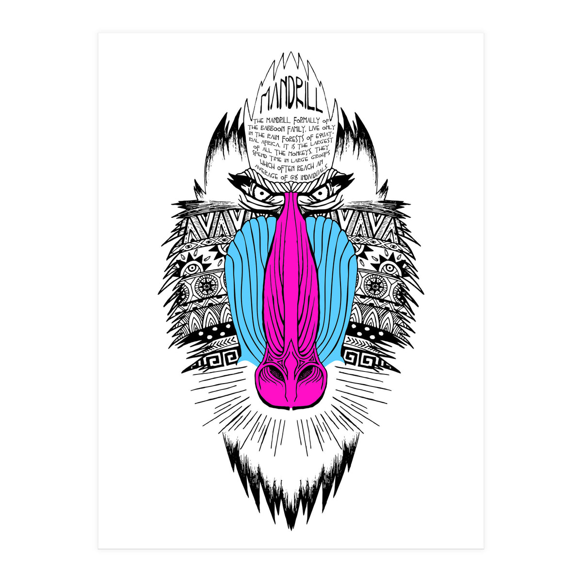 Mandrill (Print Only)