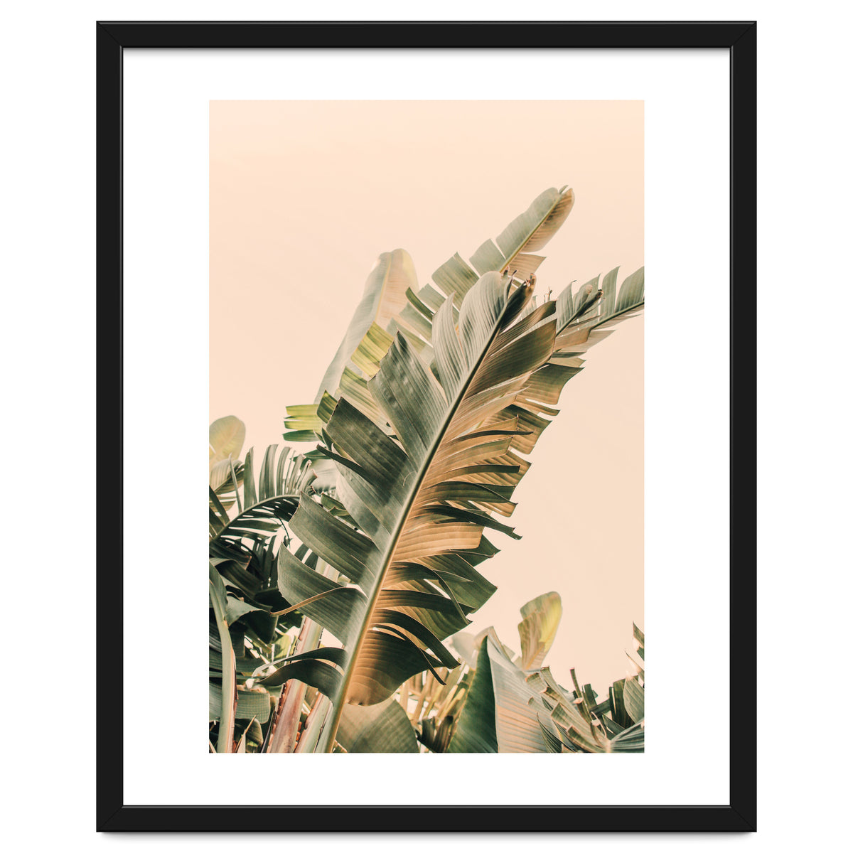 Growing Green Alicia Bock