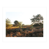 Heath landscape (Print Only) thumbnail