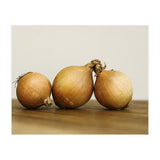 Onions (Print Only) thumbnail