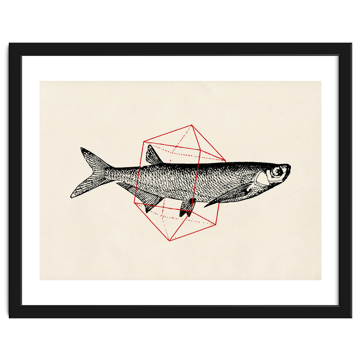 Fish In Geometrics II