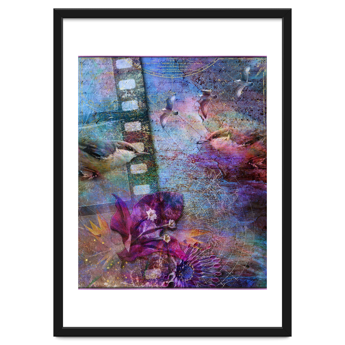 Watching the Wild World