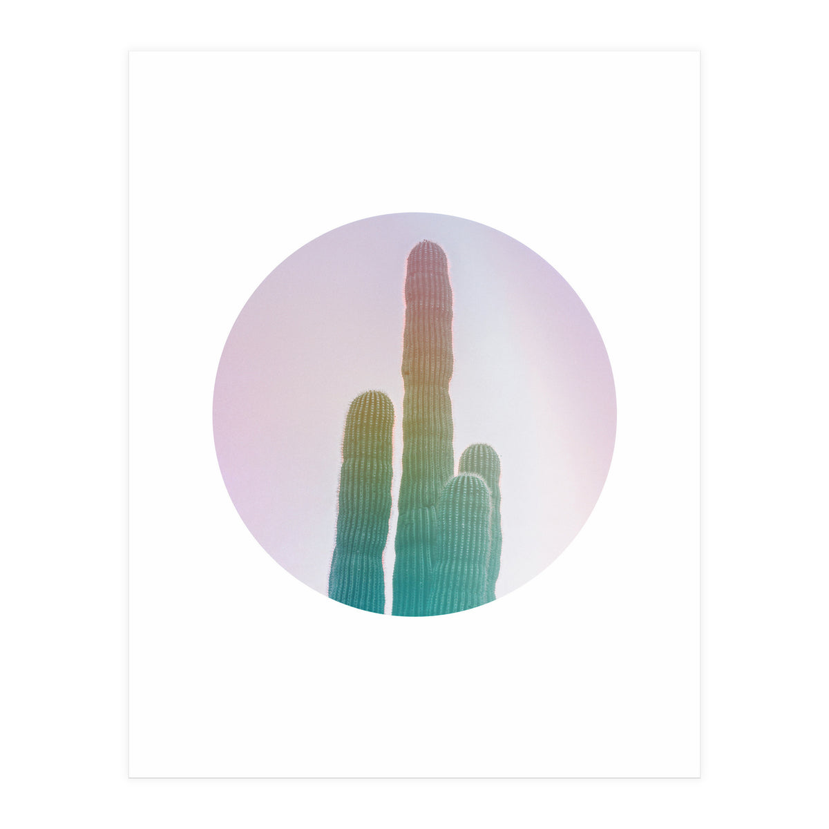 Circular Cacti (Print Only)