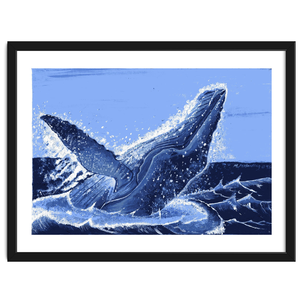 Humpback Whale Breaching