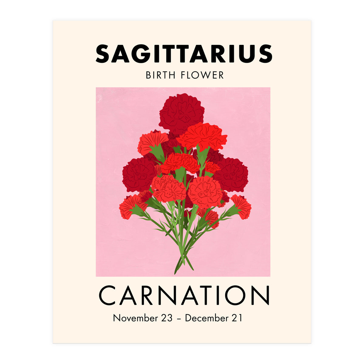 Sagittarius Birth Flower Carnation  (Print Only)