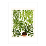Modern Fern (Print Only) thumbnail
