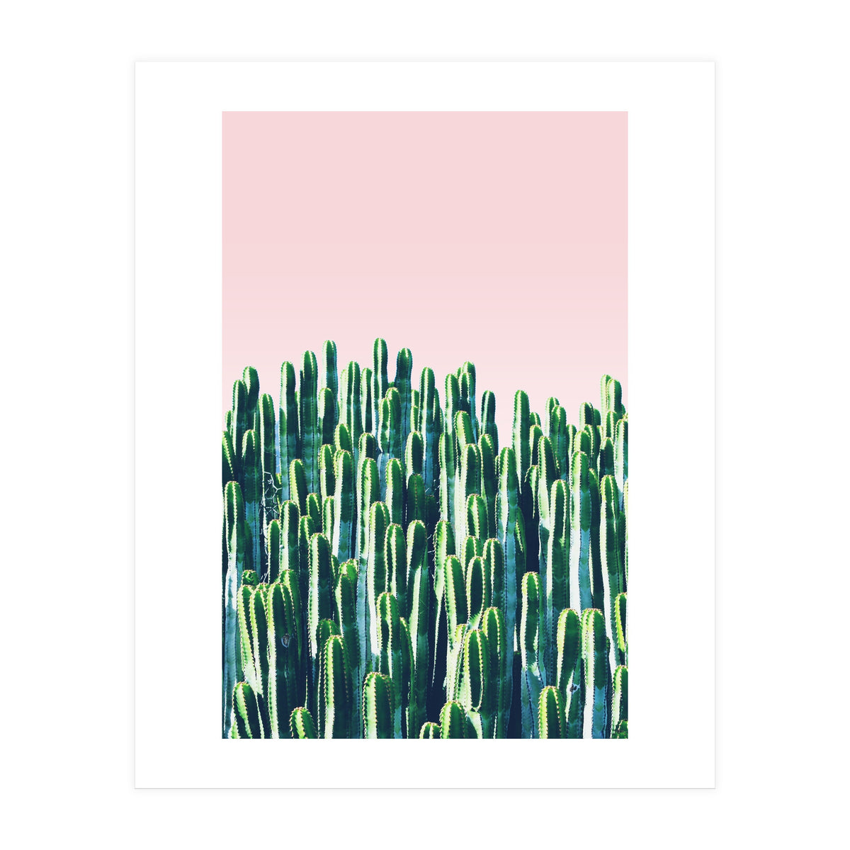 Cactus & Sunset II (Print Only)