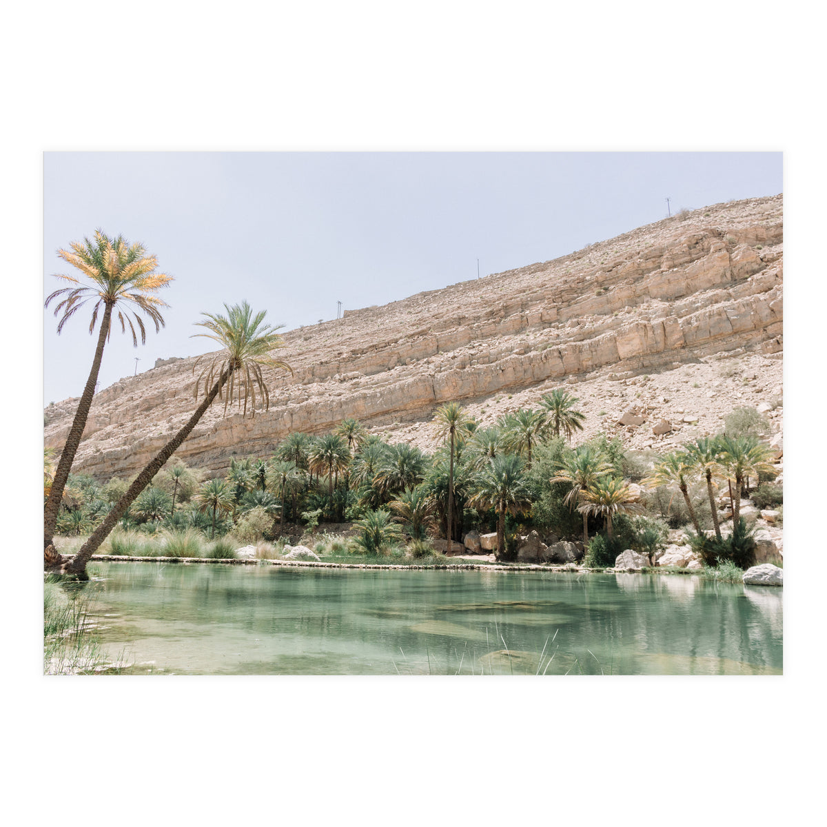 Tropical Oasis (Print Only)