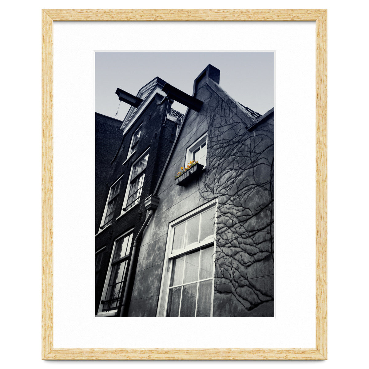 Amsterdam. House With Yellow Flowers.