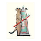 Meerkat Brushing Teeth, Funny Bathroom Humour (Print Only) thumbnail
