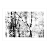 tree breeze (Print Only) thumbnail
