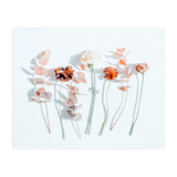 Minima (Print Only) thumbnail