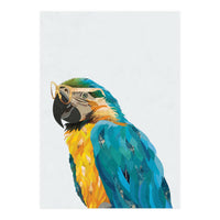 Macaw Portrait wearing gold glasses (Print Only)