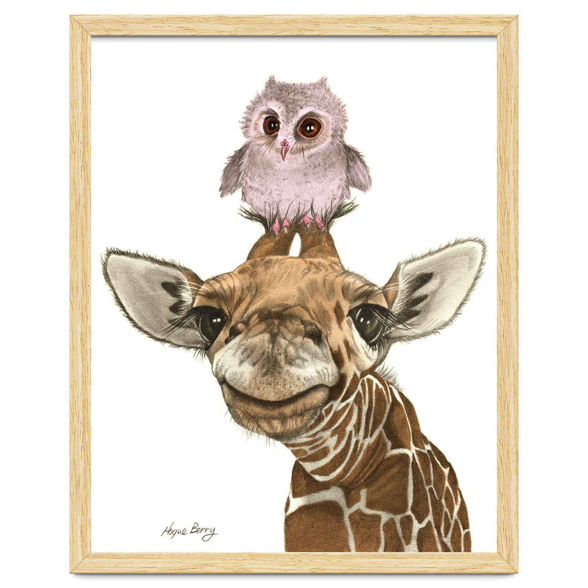 Giraffe and Owl