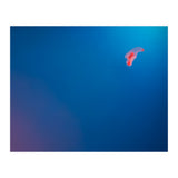 Absolute Zero (Print Only) thumbnail