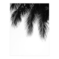 Palm leaves (Print Only)